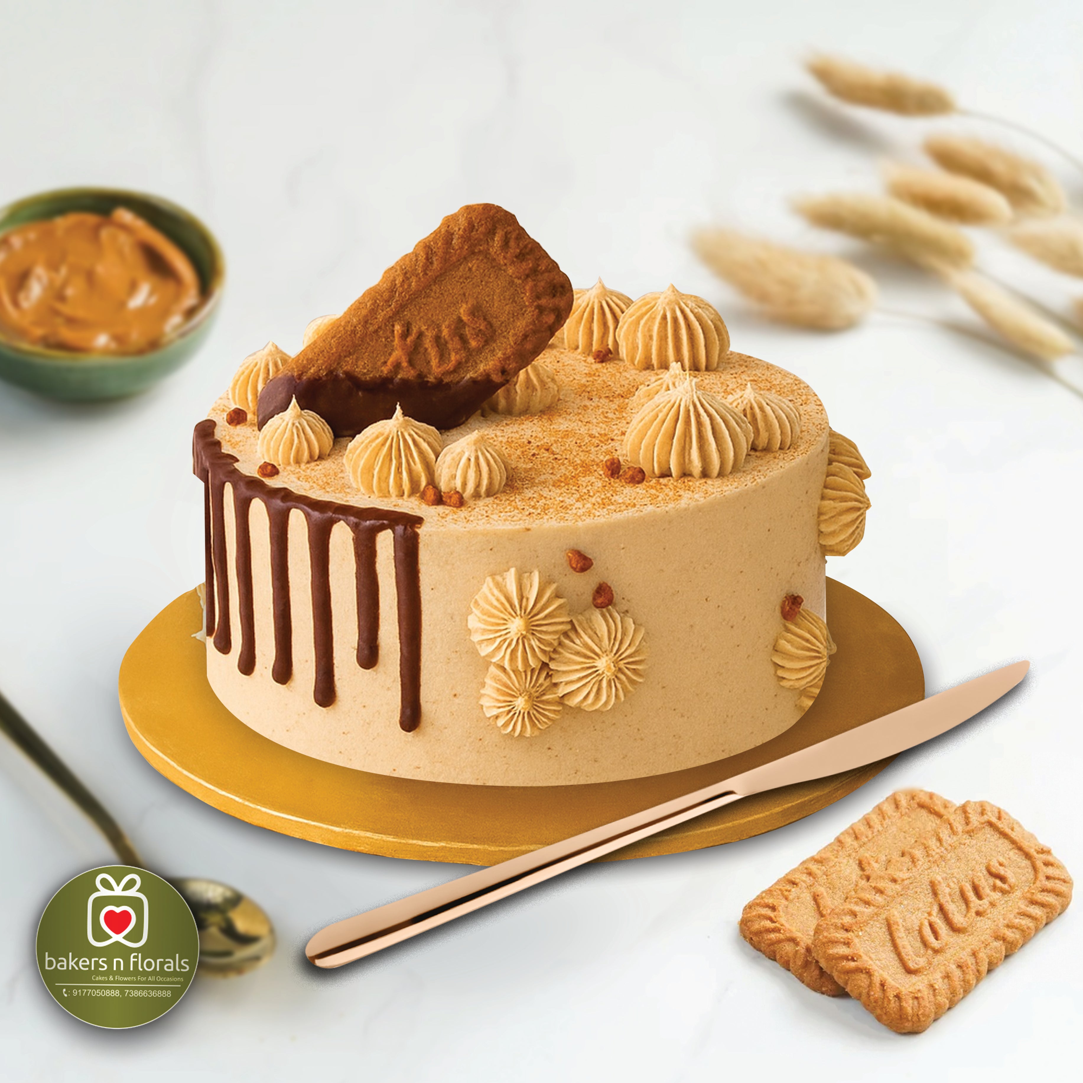 Delightful Biscoff Chocolate Cake