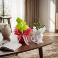 Green Companions Jade & Money Plant Duo